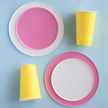 Platos Rosa – Platos de Cartón para Fiestas en Tamaños Chico 7